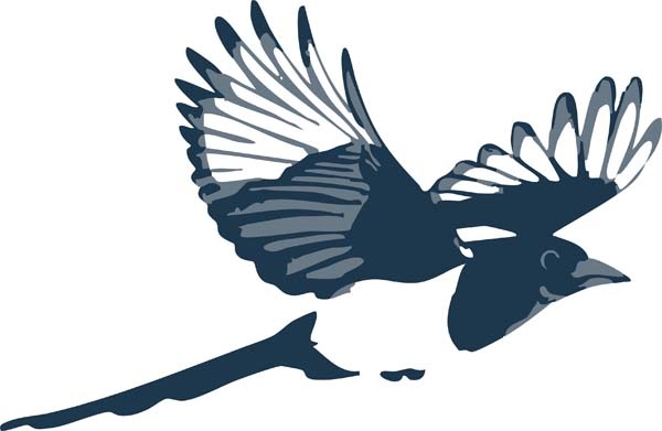 Magpie.jpg