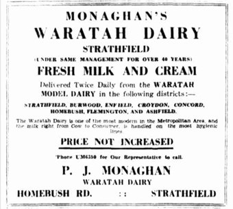 Evening News 5 September 1930 p.6.jpg