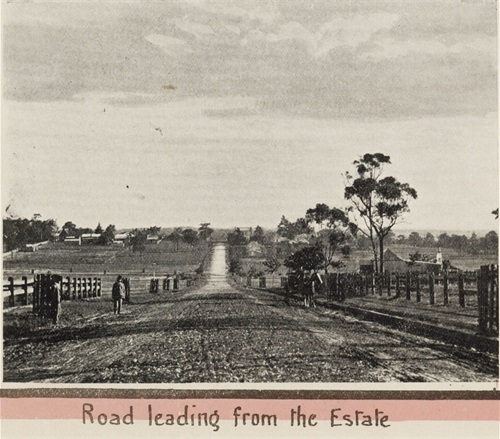 SLNSW_FL8945863 (3) Mountain View Estate 1906 - road leading from the estate.jpg