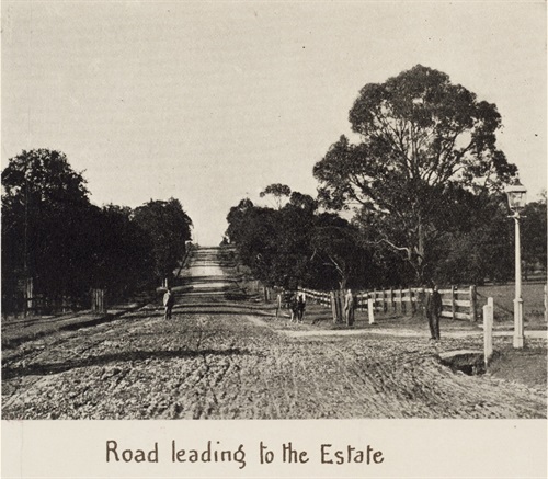 SLNSW_FL8945863 (3) Mountain View Estate 1906 - road leading to the estate.jpg