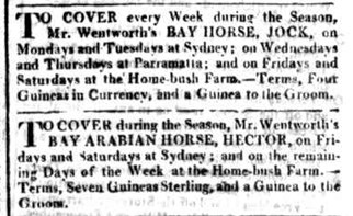 The-Sydney-Gazette-and-New-South-Wales-Advertiser-11-September-1813-p.2.jpg