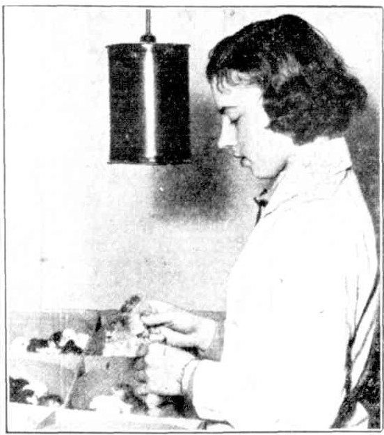 The-Newcastle-Sun-3-July-1936-p.10-cropped.jpg