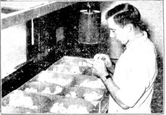 The-Newcastle-Sun-3-July-1936-p.10-cropped2.jpg