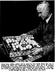 The-Sydney-Morning-Herald-5-June-1953-p.9-cropped-234x300.jpg