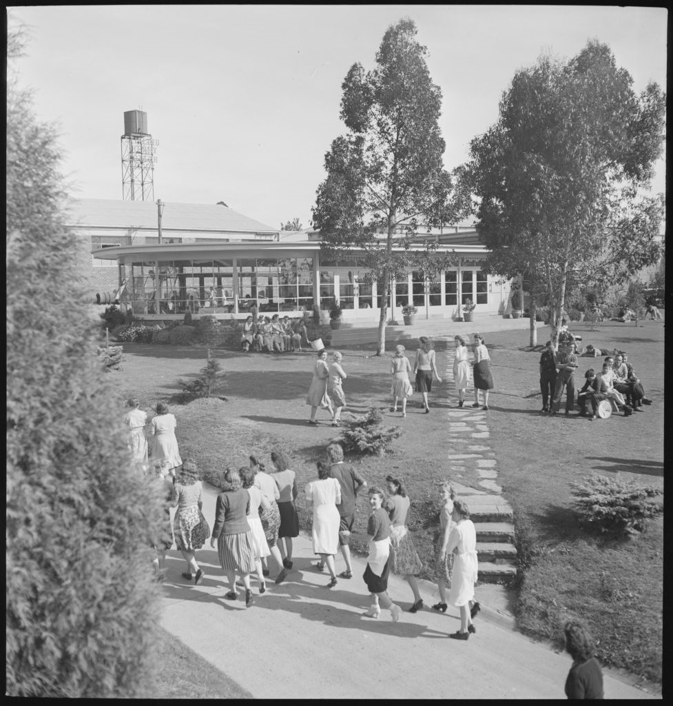 c30709_0005_c.-Featured-in-Cumberland-Argus-19-April-1950-p.9-977x1024.jpg
