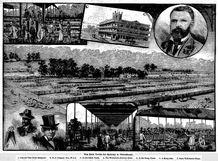 Australian-Town-and-Country-Journal-2-August-1884-cropped.jpg