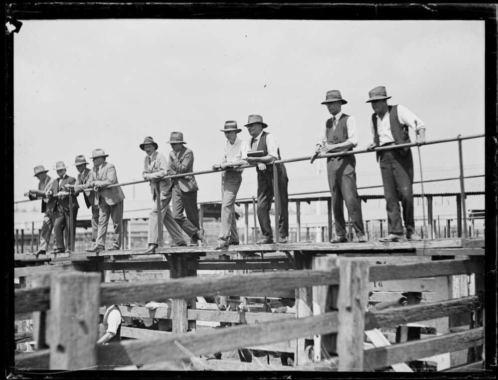 nla.obj-157561104-1.-Sheep-sales-at-Homebush-c.1925.-Fairfax.jpg