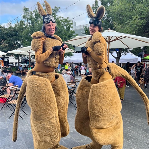 Roving Roos 